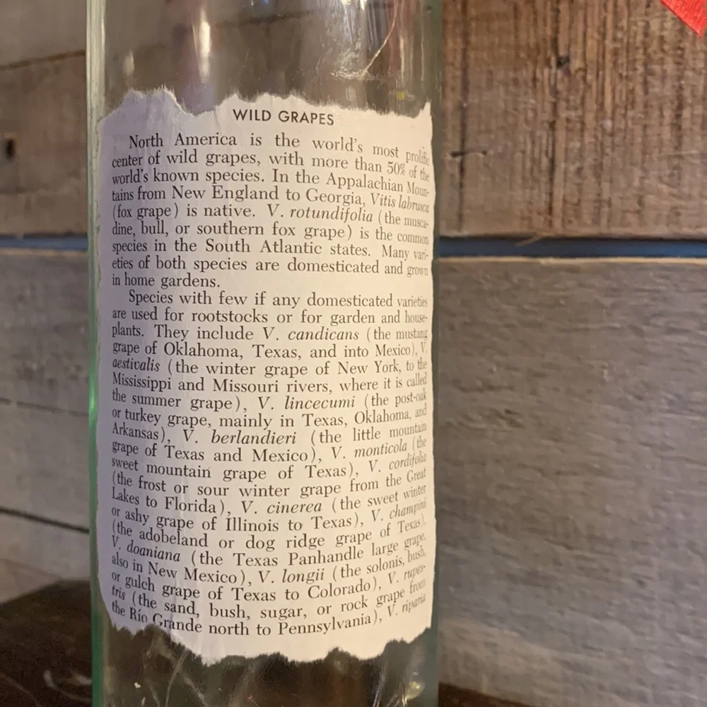 Hand Crafted, upcycled decoupage Wine Bottle lantern on wild grapes